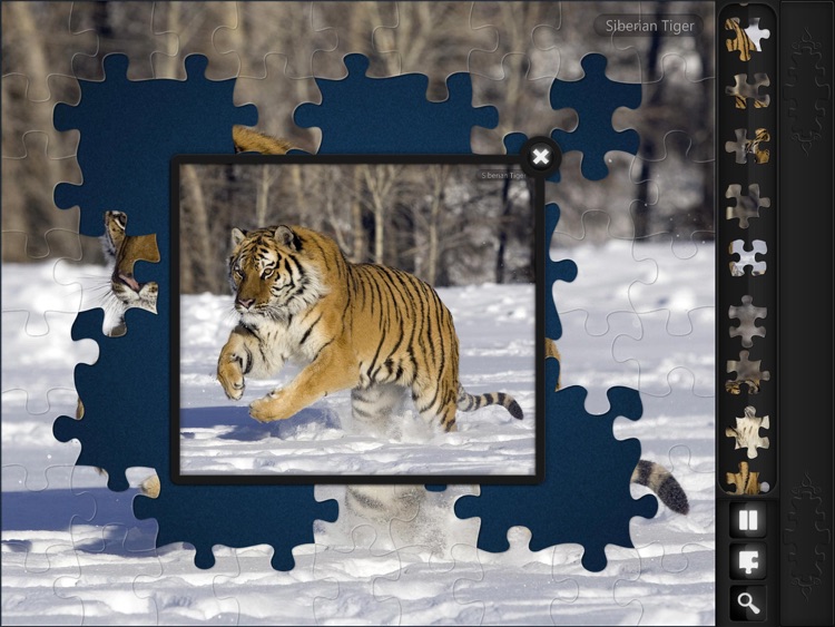 Jigsaw Puzzles: Endangered Species screenshot-3