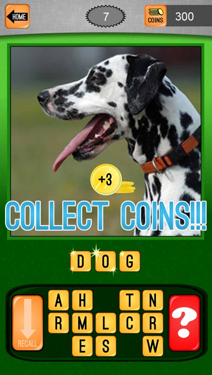 What in the Word! Blocks and Block Words cra screenshot-4