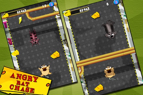 Angry Rat Chase - Hungry For Cheese (Free Game) screenshot 2
