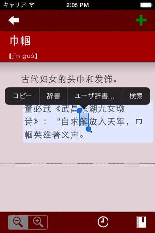 中中辞典「現代漢語大詞典」 LITE Version screenshot 3