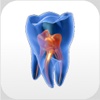 Endodontie