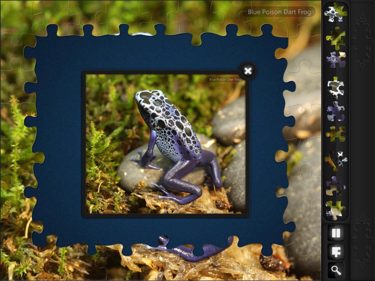 Jigsaw Puzzles: Endangered Species screenshot-4