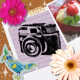 Free photo app, photodeco-collage,filter(Toy, Lomo, etc), stamps, frames～Let's decorate photos～