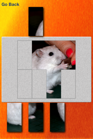 Hamsters And Puzzles screenshot 3