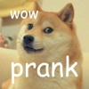 Doge Prank