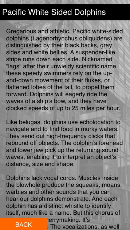 Chicago Museums screenshot-4