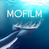MOFILM Live Briefs