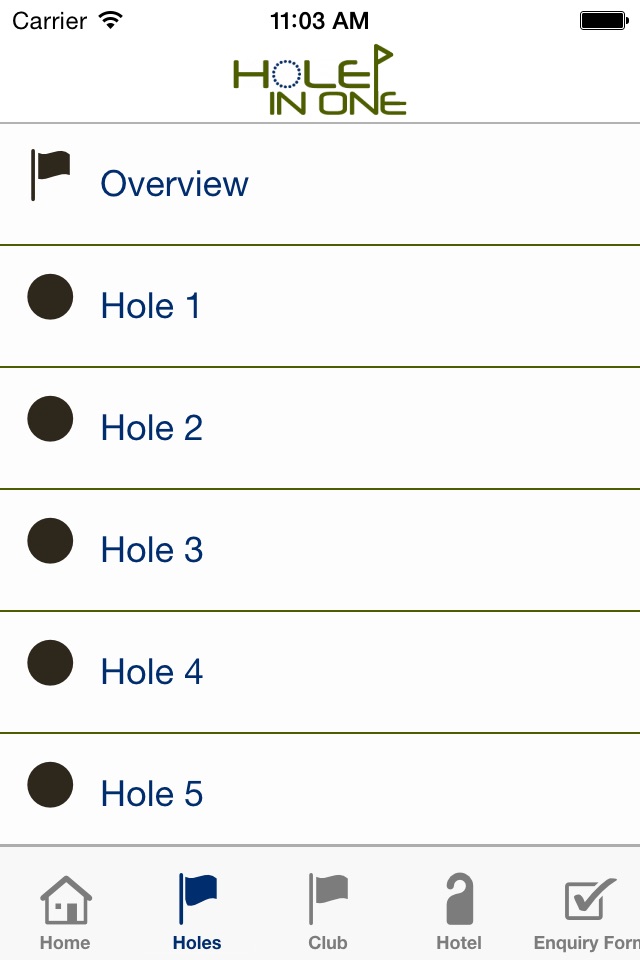 Hole in One Golf screenshot 2