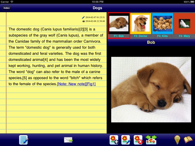 GraphicNotes-HD-Basic - write notes with text and figures