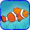 Swimmy Clownfish