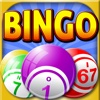 All Bingo Craze