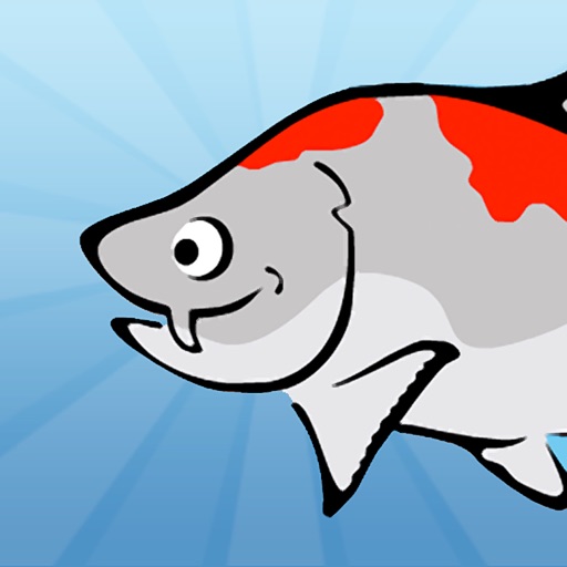 Karl the Koi - Who is the greatest fish in the pond? Icon