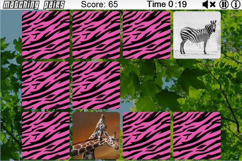 Matching Pairs Animals screenshot 2