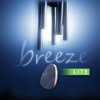 breezeLITE: realistic wind chimes