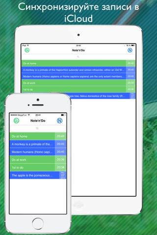 Note & Do - creating and editing two notes with to-do lists at the same time on one screen screenshot 4
