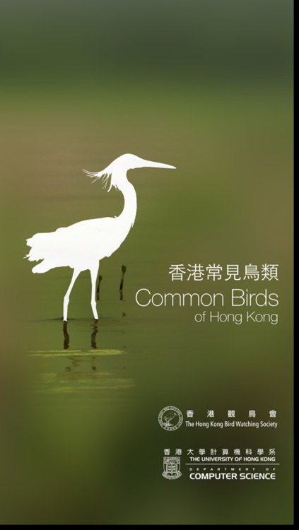 HKcBirds: Common Birds of Hong Kong