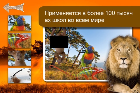 Shape Game Wildlife Photo for kids screenshot 4