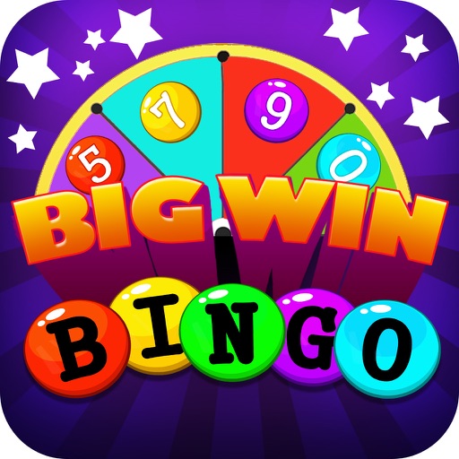 Bingo Big Win By Experience Media