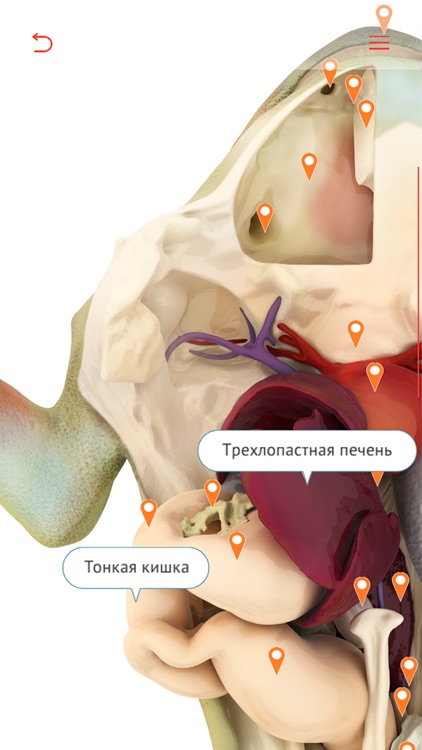 Плакаты Политеха