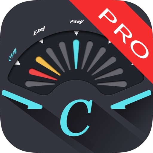 Royal chromatic tuner pro