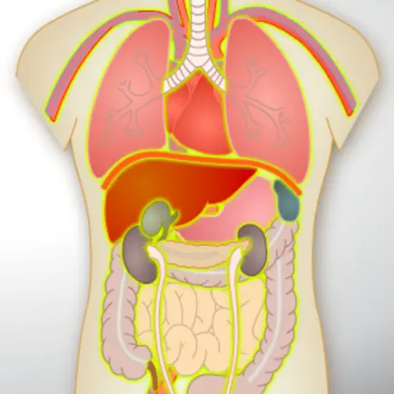 Human Anatomy Game Cheats