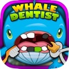 クジラ - Whale Dentist