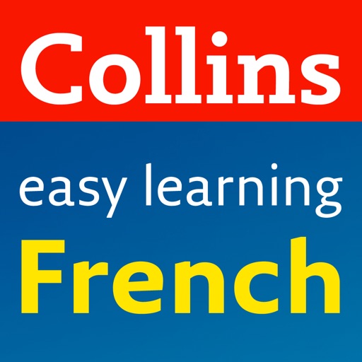 French Grammar and Practice