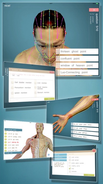 Total Acupuncture 3D
