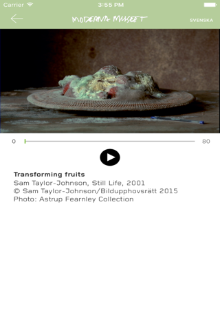 Moderna Museet Förvandlingar screenshot 4