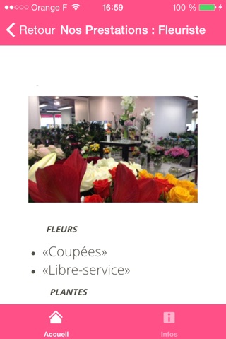 Screenshot of Votre Fleuriste