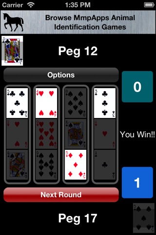 Cribbage Pillars screenshot 4