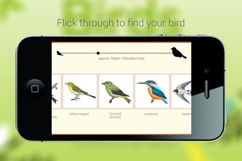 Birds by Colour screenshot 2