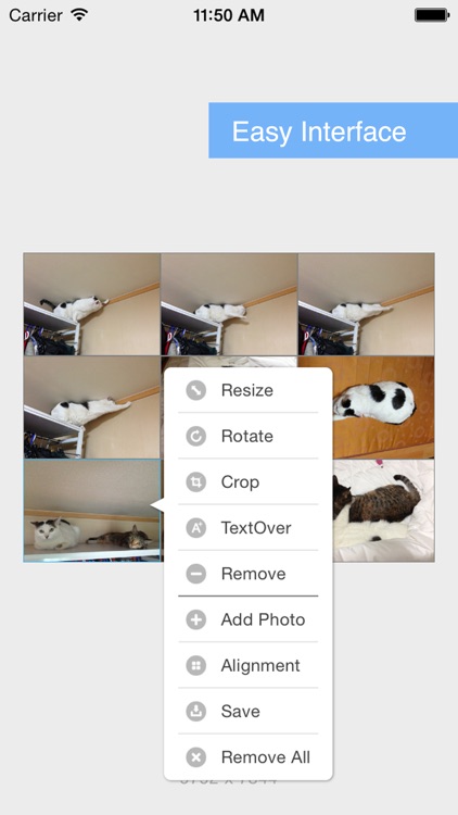 PutPic - Easy Photo Merge