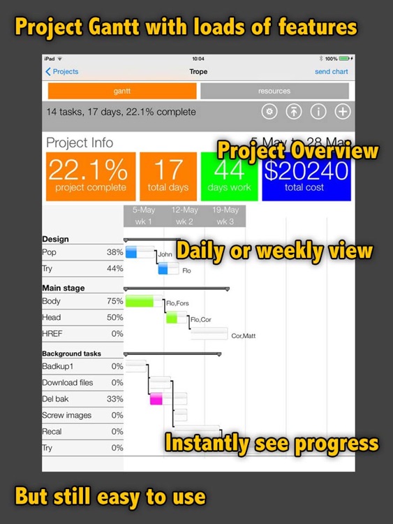 Project Gantt 2013
