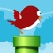 Clumsy Bird