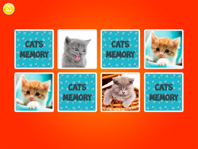 Cats & Kittens Memory for kids and toddlers