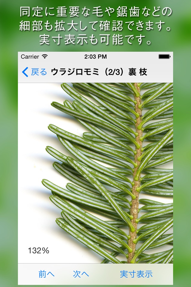 葉っぱ図鑑 - Leaf Dictionary - screenshot 3