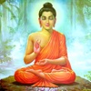 Buddhist Thoughts - bring Buddhism wisdom into your everyday life