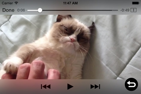 Grumpy Cat - Funny Memes, Videos, Games and More for Kids! screenshot 3