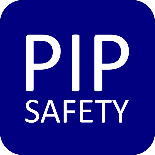 Seguridad PIP icon