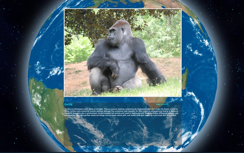 Mammal Friends HD thumbnail 2