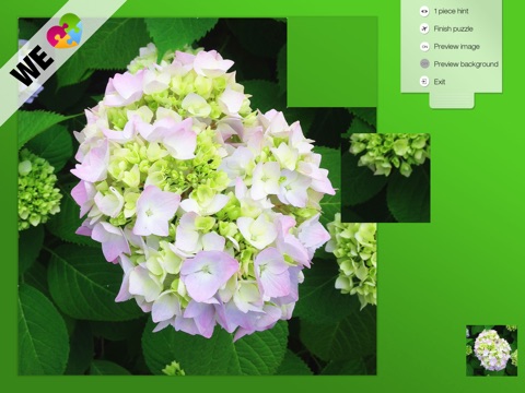 Blumen Puzzle Set (von WE LOVE PUZZLES) screenshot 2