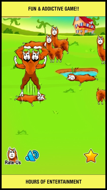 Alpaca Dash - an the branch jump evolution begins