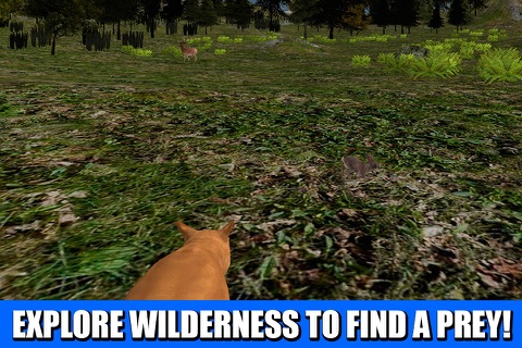 Wildlife Survival 3D: Puma Cat Full screenshot 3