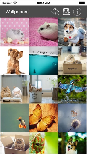 Wallpaper Collection Animals Edition(圖3)-速報App