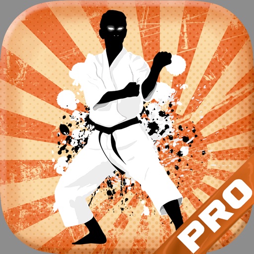 Judo Aikido Hapkido Black Belt Martial Arts icon