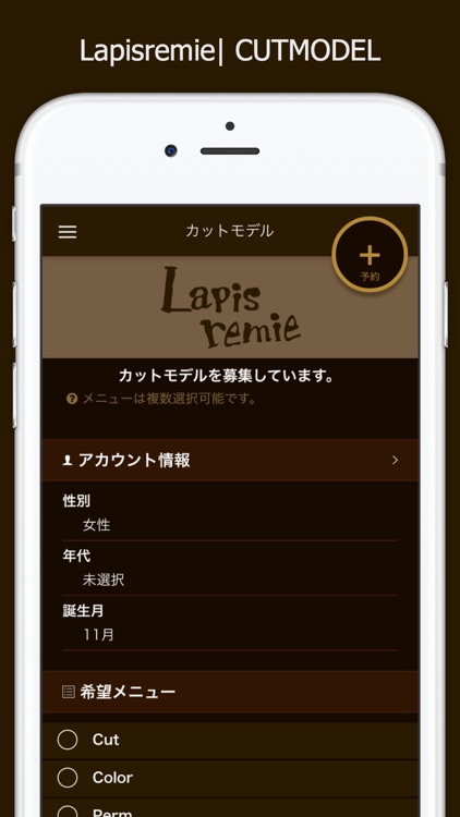 Lapisremie screenshot-3