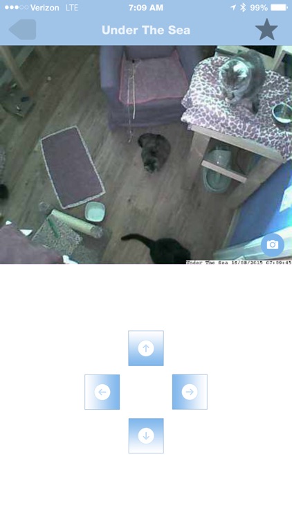 iDogCam screenshot-3