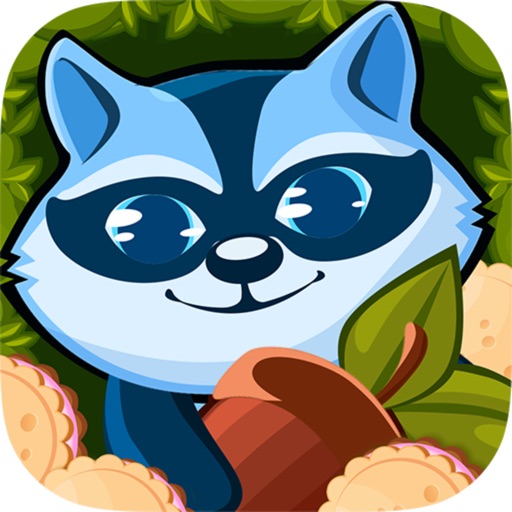 Raccoon Maze PRO icon