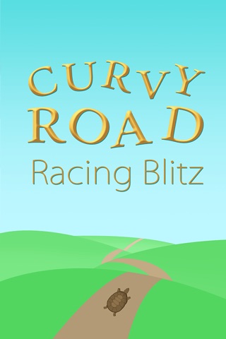 Curvy Road Racing Blitz - best street racing arcade game screenshot 2